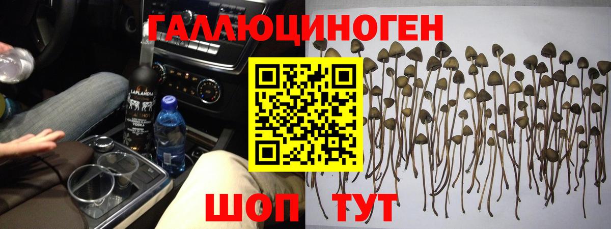 Альфа ПВП СК кристаллы  ГАШИШ  Вход с VPN  Марихуана  Нижний Новгород  ГАШ  Мефедрон кристаллы  Кокаин 