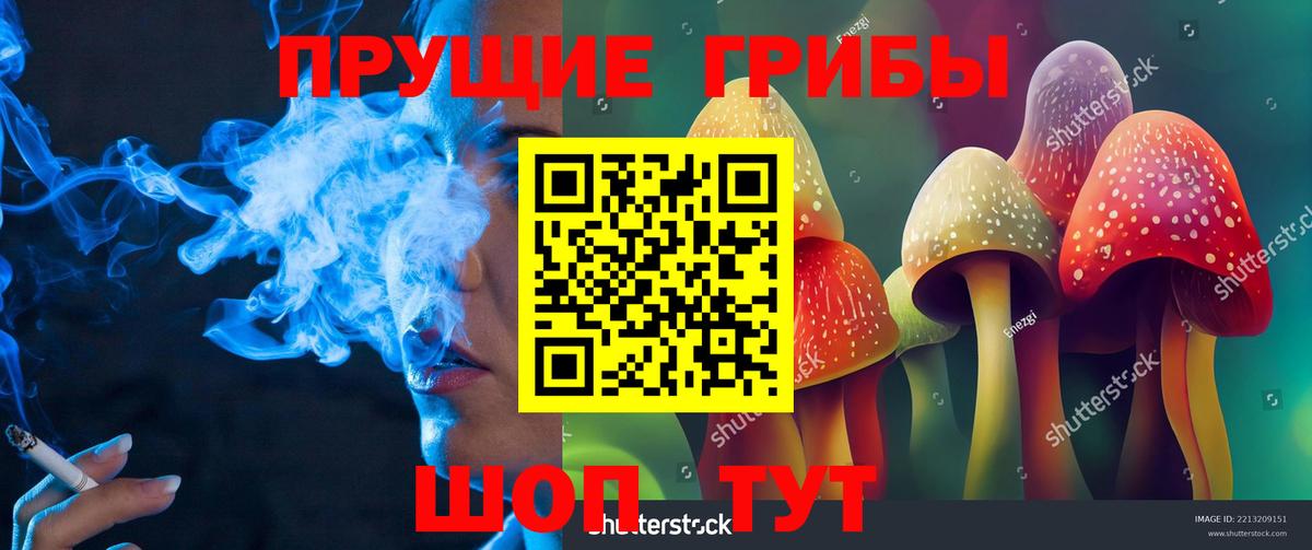 Псилоцибиновые грибы MAGIC MUSHROOMS Нижний Новгород